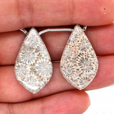 Fossil Coral Drops Leaf Shape 30x17mm Drilled Bead Matching Pair