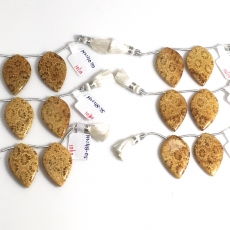 Fossil Coral Drops Leaf Shape 31x20mm Drilled Beads Matching Pair