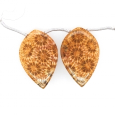 Fossil Coral Drops Leaf Shape 31x20mm Drilled Beads Matching Pair