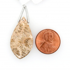 Fossil Coral Drops Leaf Shape 32x17mm Drilled Bead Single Piece