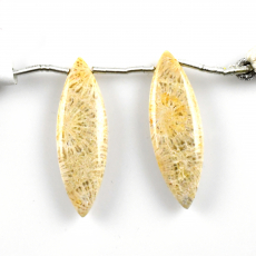 Fossil Coral Drops Marquise Shape 34x11mm Drilled Beads Matching Pair
