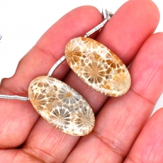 Fossil Coral Drops Oval Shape 26x14mm Drilled Beads Matching Pair