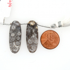 Fossil Coral Drops Oval Shape 32x12mm Drilled Bead Matching Pair