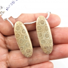 Fossil Coral Drops Oval Shape 35x12mm Drilled Beads Matching Pair