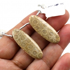 Fossil Coral Drops Oval Shape 35x12mm Drilled Beads Matching Pair