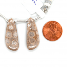 Fossil Coral Drops Wing Shape 30x12mm Drilled Bead Matching Pair