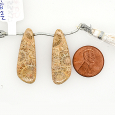 Fossil Coral Drops Wing Shape 33x12mm Drilled Bead Matching Pair