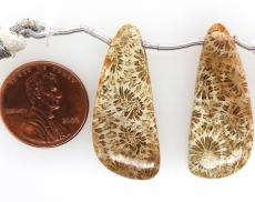 Fossil Coral Drops Wing Shape 33x16mm Drilled Beads Matching Pair