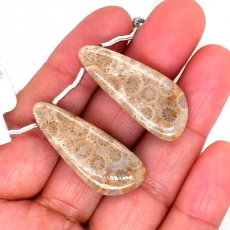 Fossil Coral Drops Wing Shape 34x14mm Drilled Beads Matching Pair