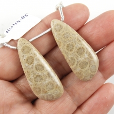 Fossil Coral Drops Wing Shape 35x14mm Drilled Beads Matching Pair