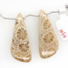 Fossil Coral Drops Wing Shape 40x16mm Drilled Beads Matching Pair