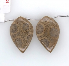 Fossile Coral Drop Leaf Shape 30x19mm Drilled Bead Matching Pair