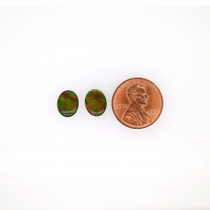 Fossilized Ammolite Cab Oval 10x8mm Matching Pair Approximately 3.17 Carat