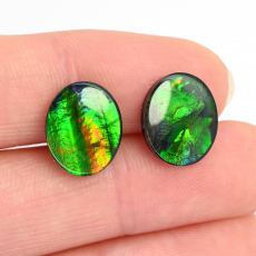 Fossilized Ammolite Cab Oval 12x10mm Matching Pair 5.79 Carat
