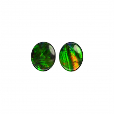 Fossilized Ammolite Cab Oval 12x10mm Matching Pair 5.79 Carat