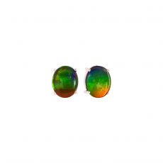 Fossilized Ammolite Cab Oval 5.05 Carat Stud Earrings in 14K White Gold