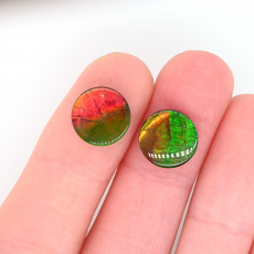 Fossilized Ammolite Cab Round 10mm Matching Pair Approximately 4 Carat