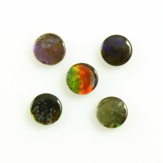 Fossilized Ammolite Round 5mm  Approximately 2.60 Carat