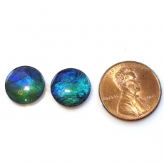 Fossilized Tri -Color Ammolite Round 12mm  Matching Pair Approximately 7.76 Carat