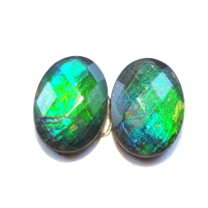Fossilized Tri Color Ammolite Oval 14x10mm Matching Pair Approximately 8.23 Carat