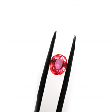 Natural Padparadscha Sapphire Oval 7.3 x 5.8mm Approximately 1.41 Carat