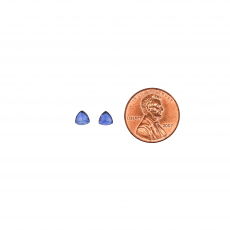 Nigerian Blue Sapphire Trillion 5mm Matching Pair Approximately 1.30 Carat