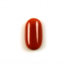 Red Coral Cab Oval 18X10MM Approximately 7.84 Carat