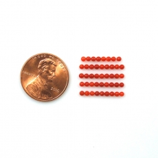Red Coral Cab Round 2mm Approximately 2 Carat