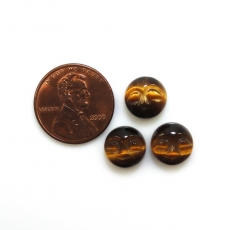 Tiger's Eye Faces Round 10mm Approximately 10 Carat