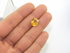 Yellow Sapphire Oval 11.3x9.6mm Approximately 5.67 Carat*