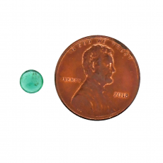 Zambian Emerald Round 5.3mm Single Piece 0.66 Carat