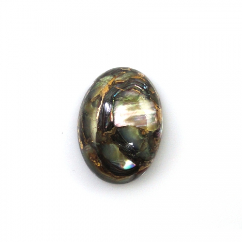 Copper Abalone Shell Cab Oval 18x13mm Approximately 12 Carat