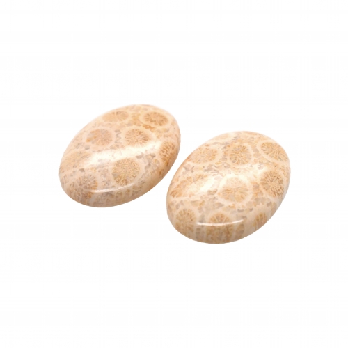 Fossil Coral Cab Oval 26x18mm Matching Pair 40.35 Carat