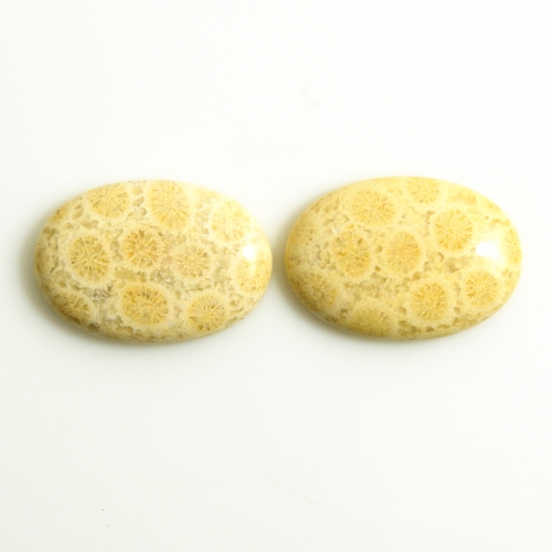 Fossil Coral Cabs Oval 26x18mm Matching Pair 40.65 Carat