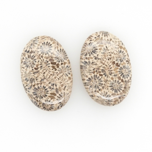 Fossil Coral Cabs Oval 30x20mm Matching Pair 48.30 Carat