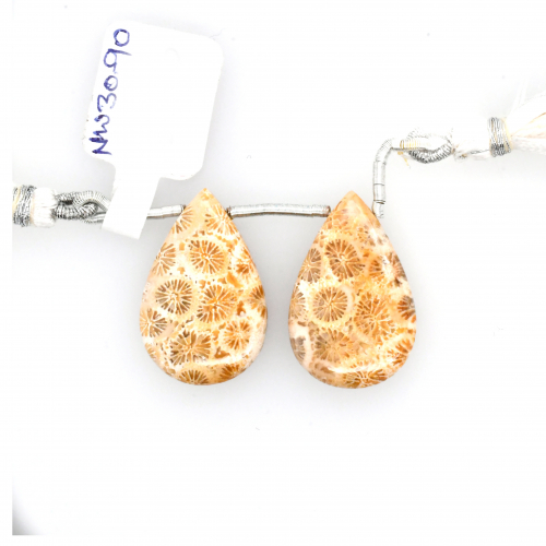 Fossil Coral Drops Almond Shape 25x16mm Drilled Bead Matching Pair