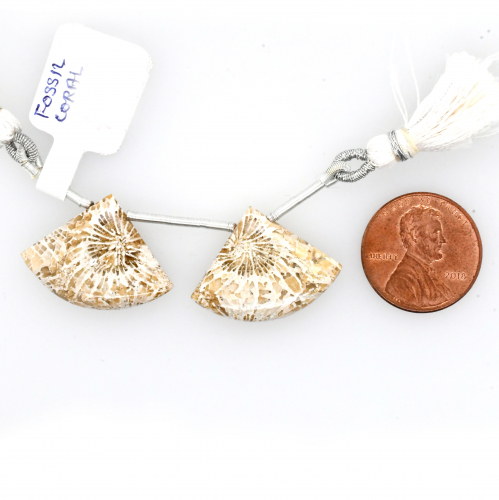 Fossil Coral Drops Fan Shape 18x24mm Drilled Bead Matching Pair