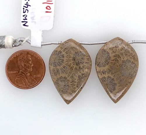 Fossile Coral Drop Leaf Shape 30x19mm Drilled Bead Matching Pair