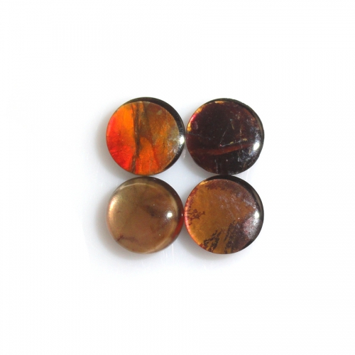 Fossilized Ammolite Cabs Round 6mm Approximately 3 Carat