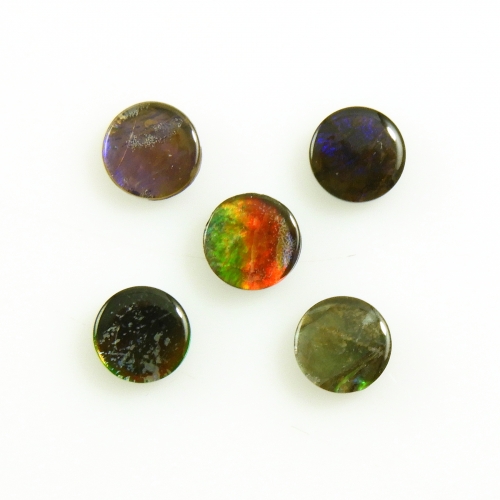 Fossilized Ammolite Round 5mm  Approximately 2.60 Carat