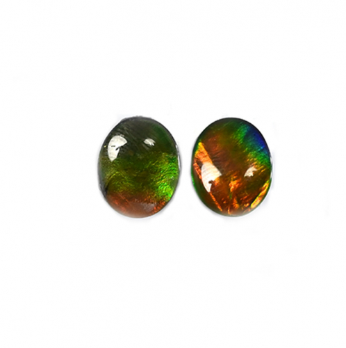 Fossilized Tri Color Ammolite Oval 12x10mm  Approximately 5.85 Carat