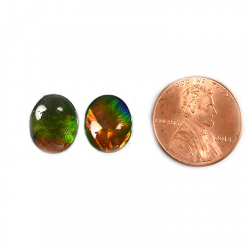 Fossilized Tri Color Ammolite Oval 12x10mm  Approximately 5.85 Carat