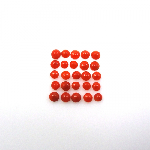 Red Coral Cab Round 2.7X2.7mm Approximately 3 Carat.
